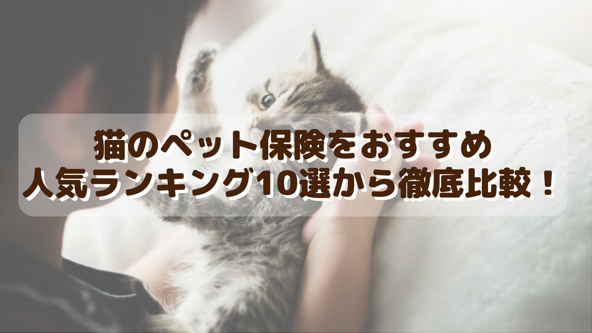 猫のペット保険をおすすめ・人気ランキング10選から徹底比較!のサムネイル画像